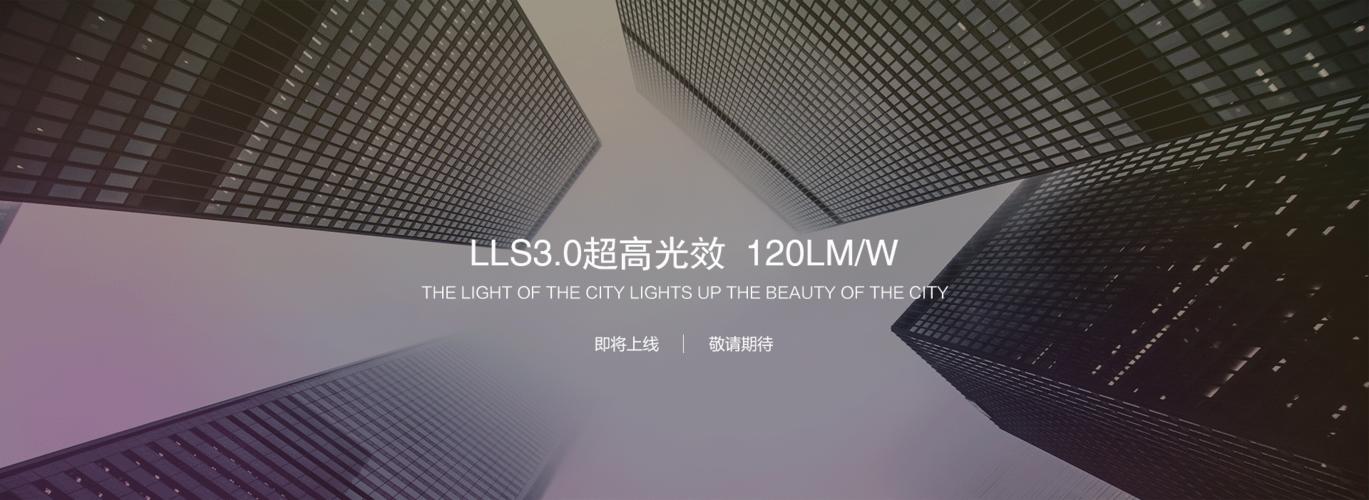 Go语言中从私有Subversion仓库导入包的实践指南